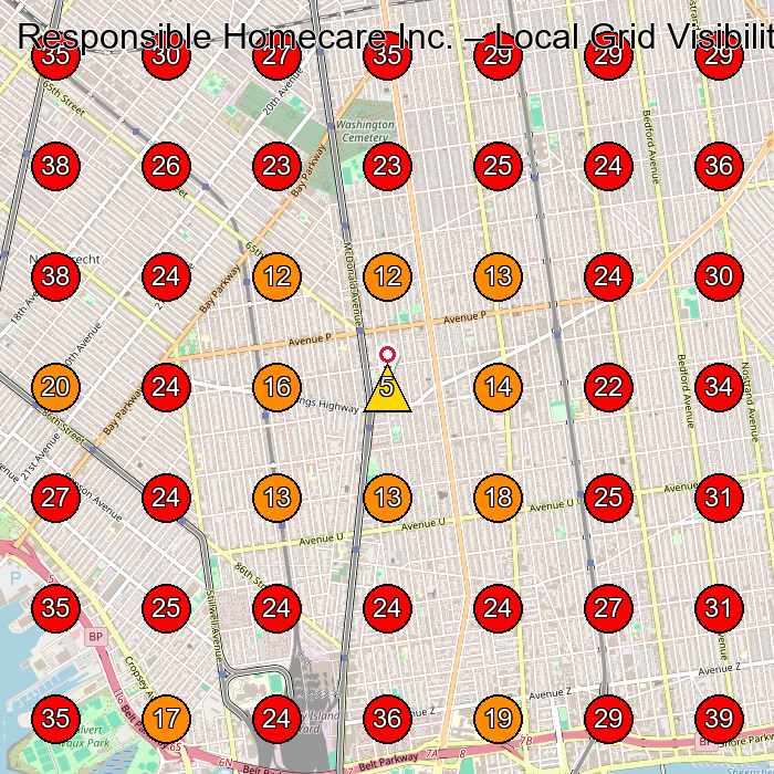 Responsible Homecare Inc. GeoGrid visibility map for Biotechnology Company in Brooklyn